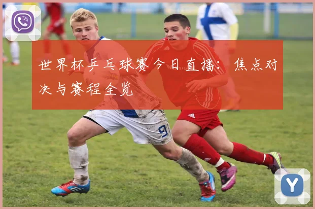 世界杯乒乓球赛今日直播：焦点对决与赛程全览