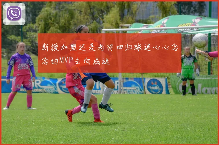 新援加盟还是老将回归球迷心心念念的MVP去向成谜
